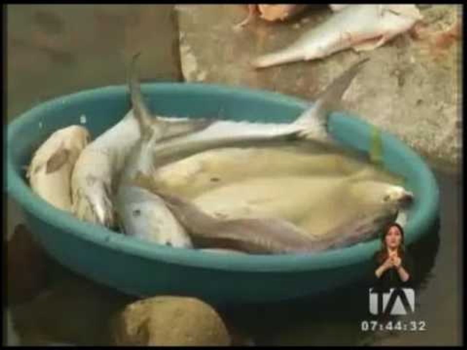 San Lorenzo y Eloy Alfaro afectados por la minería de la zona