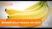 Productores bananeros piden apoyo al Gobierno - Teleamazonas
