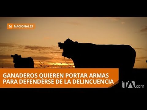 Ganaderos solicitan permiso para portar armas y así defenderse - Teleamazonas