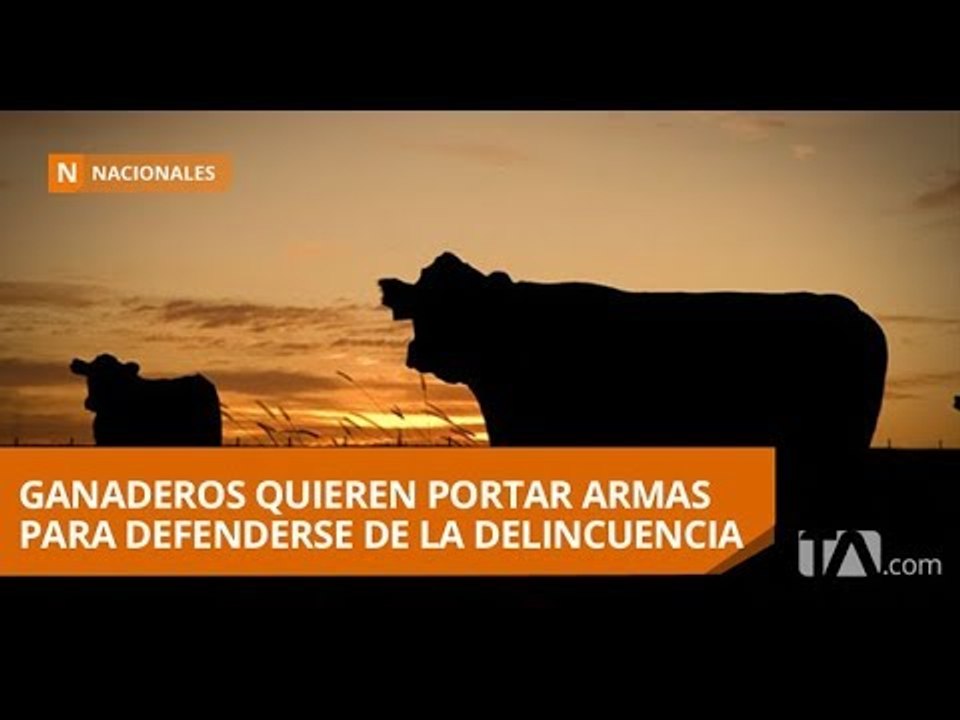 Ganaderos solicitan permiso para portar armas y así defenderse - Teleamazonas