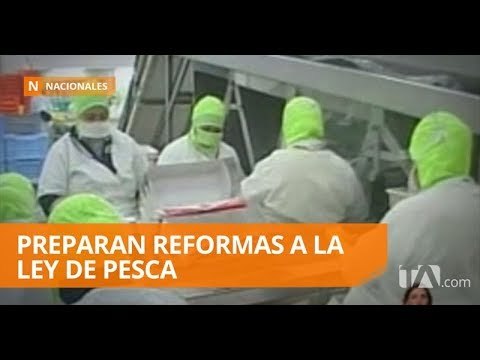 Sector camaronero pide mayor seguridad para sus faenas - Teleamazonas