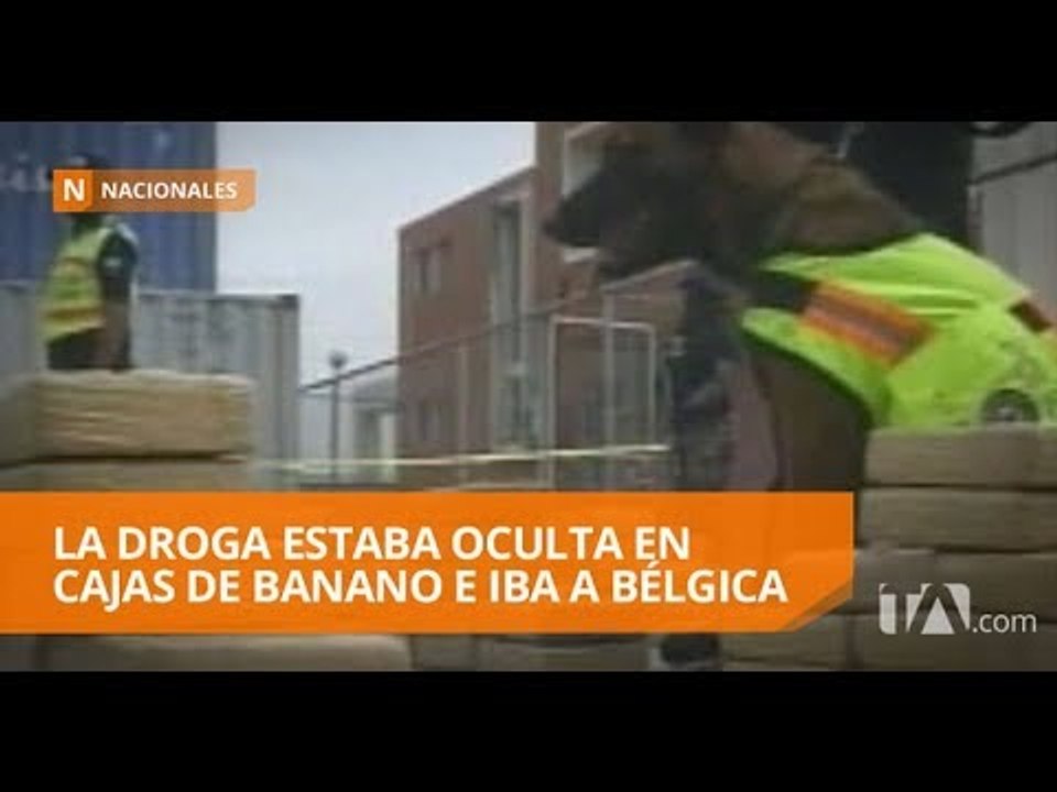 Decomisan media tonelada de droga en puerto marítimo de Guayaquil - Teleamazonas