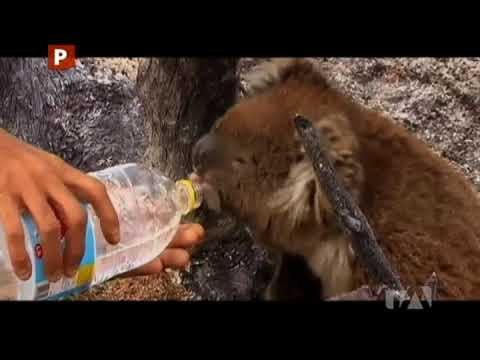 Ecos: ¿El Peor Clima del Mundo? - Teleamazonas