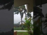 Irma en Florida 1 - Teleamazonas