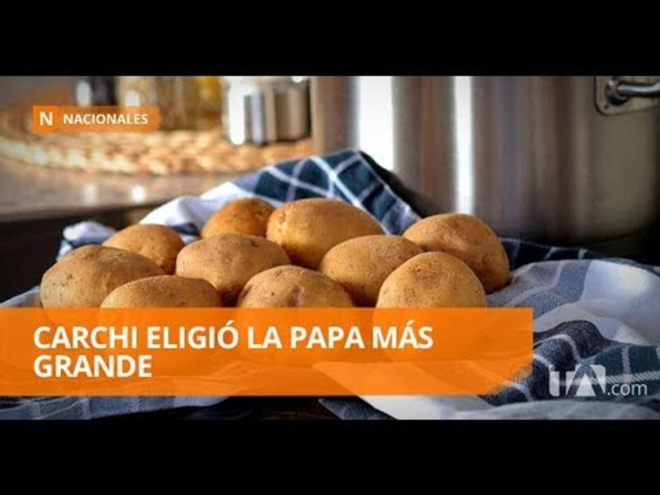 Séptimo concurso de la papa más grande del país - Teleamazonas