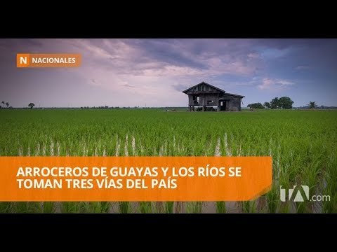 Arroceros se toman tres vías para exigir control de precios - Teleamazonas