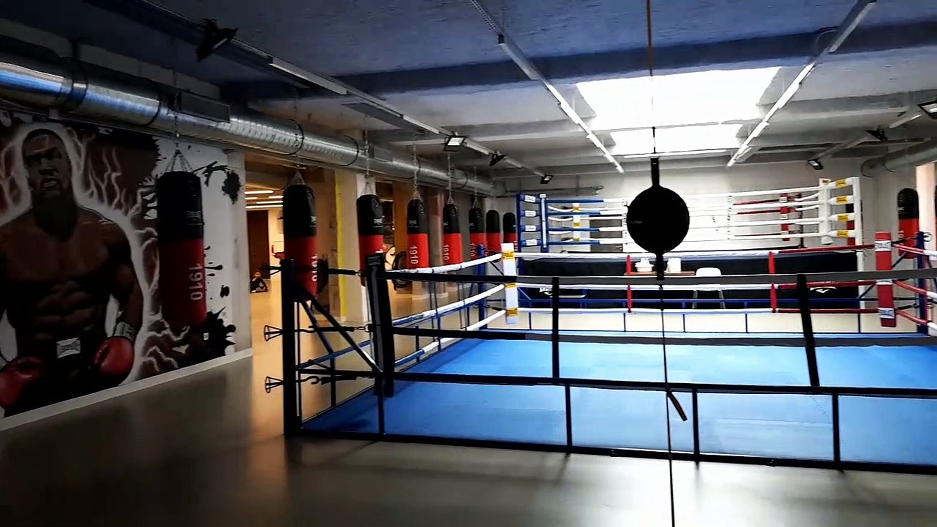 Mulhouse : la Box Briand pas uniquement réservée à la boxe - Vidéo  Dailymotion