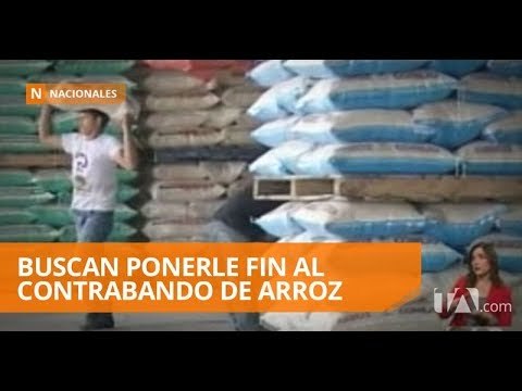 Nuevos mecanismos para la presentación de denuncias de abuso sexual en escuelas - Teleamazonas