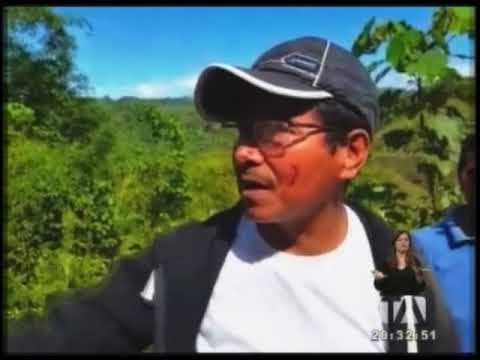 Accidente en la carretera Coca-Tena deja un muerto y varios heridos - Teleamazonas