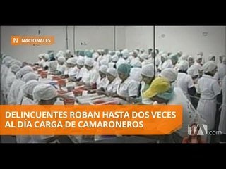 Tải video: Sector camaronero denuncia millonarias pérdidas por robos - Teleamazonas