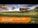 Falta de lluvias preocupa a los agricultores - Teleamazonas