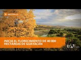 Los ecuatorianos serán testigos de un fenómeno natural único - Teleamazonas