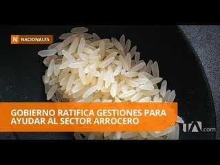 Gobierno toma medidas por la crisis en el sector arrocero - Teleamazonas