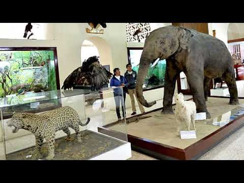 Ya empezó la Fiesta de la flores y de las frutas | #Teleamazonas Con Alejo Bedón