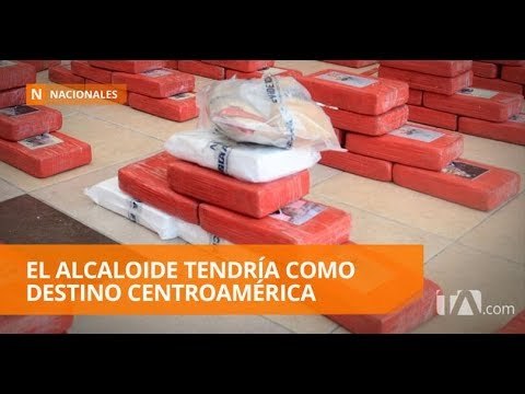 Incautan 666 kilos de cocaína en Manabí - Teleamazonas