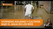 Cientos de familias están aisladas por el desbordamiento del Río Babahoyo - Teleamazonas