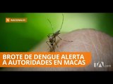 Casos de dengue preocupan a pobladores y autoridades de Macas - Teleamazonas