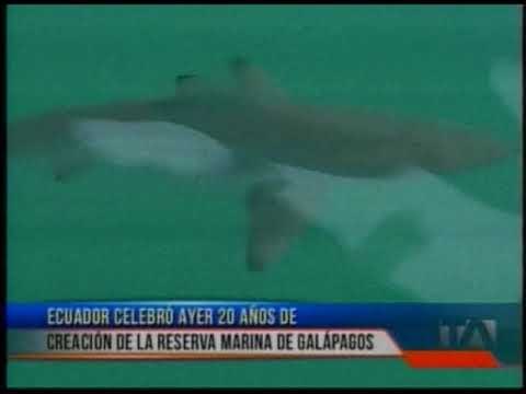 20 años de la creación de la Reserva Marina de Galápagos