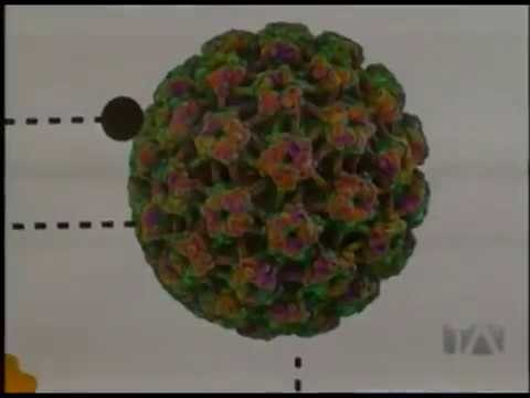 Medidas de prevención contra el cáncer de cuello uterino