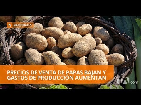 Precios bajos de la papa preocupan a agricultores - Teleamazonas