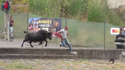 TOUROS À CORDA - ARTE E DIVERSÃO