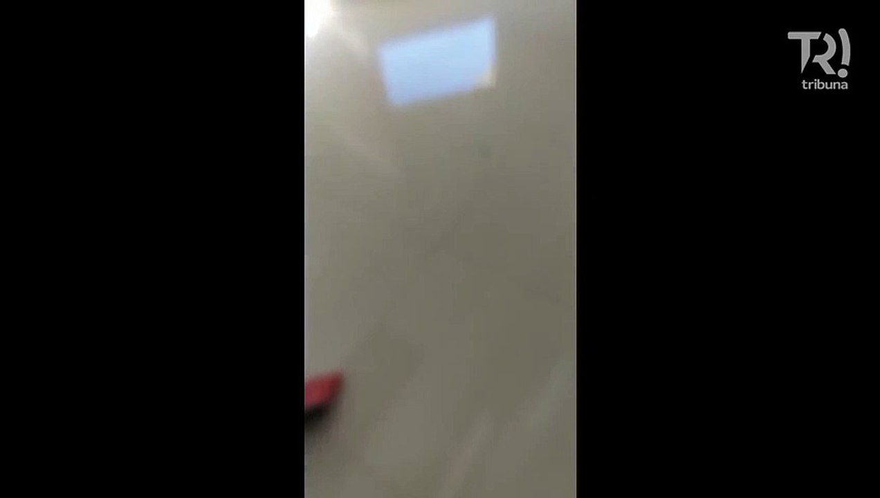 Escorpião invade casa e assusta moradora