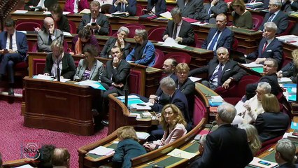 QAG - Roger Karoutchi : un référendum le jour des élections européennes est-il une Fake News ?