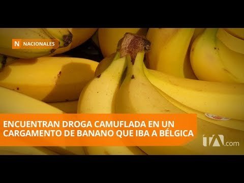 Policía decomisó más de una tonelada de droga en puerto marítimo - Teleamazonas