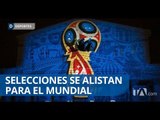Las selecciones sudamericanas se encuentran camino a Rusia - Teleamazonas