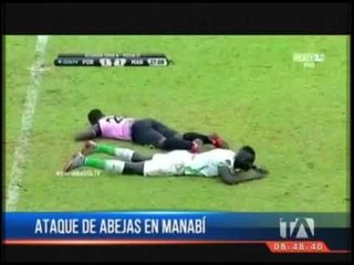 Mundo Curioso 11/06/2018