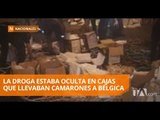 Decomisan una tonelada y media de droga en puerto de Guayaquil - Teleamazonas