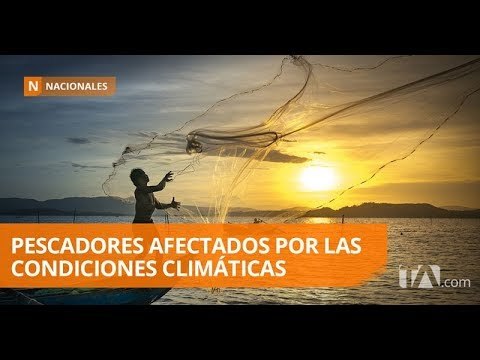 Bajas temperaturas en el mar dificultan faenas de pescadores - Teleamazonas