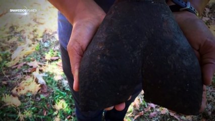 Misterioso objeto brillante cae del cielo