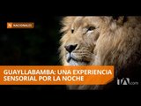 Empezaron los safaris nocturnos en Guayllabamba - Teleamazonas