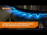 Eliminar el subsidio al gas reduciría el gasto fiscal, según analistas - Teleamazonas