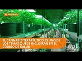 Asambleístas afinan el Código de Salud - Teleamazonas