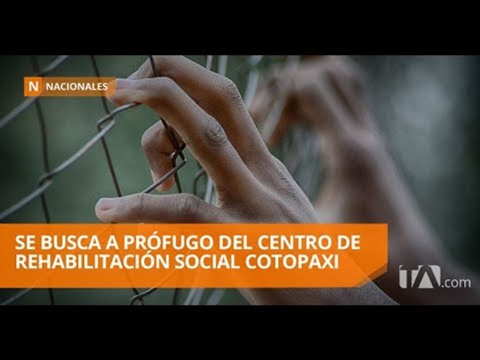 Una persona privada de la libertad se fugó de la cárcel de Latacunga - Teleamazonas
