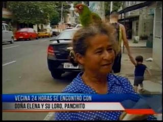 Conozca a doña Elena y su loro "Panchito"