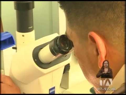 Se investigan patrones de grafitis en autobuses de turismo