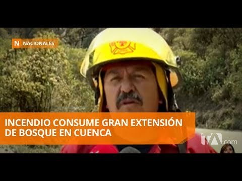 800 hectáreas de bosque, consumidas tras incendio forestal - Teleamazonas