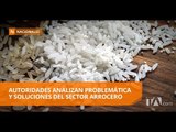 Ministro de Agricultura se reunió con productores arroceros - Teleamazonas