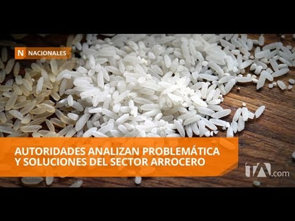 Ministro de Agricultura se reunió con productores arroceros - Teleamazonas