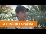 Ministro de agricultura visitó zonas palmicultoras afectadas - Teleamazonas