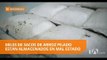 Hongos, insectos y heces de animales se encuentran miles de sacas de arroz - Teleamazonas
