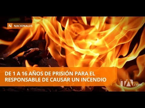 Una ola de incendios se ha registrado en las últimas horas en Quito -Teleamazonas