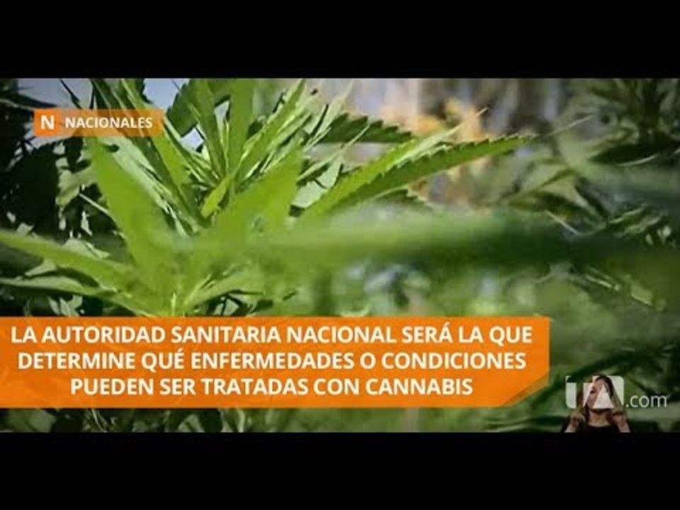 Aprobado el Libro II del Código de Salud en Comisión Legislativa - Teleamazonas