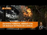 Un incendio forestal arrasó con un bosque de pinos en Cuenca -Teleamazonas