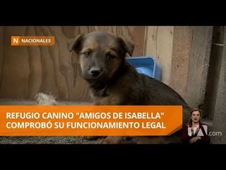 Download Video: Refugio canino 