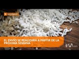 Más de 50 mil toneladas de arroz pilado serán exportadas a Colombia - Teleamazonas