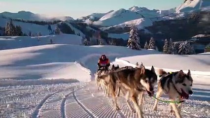 Episode 8 - Ma Première Odyssée